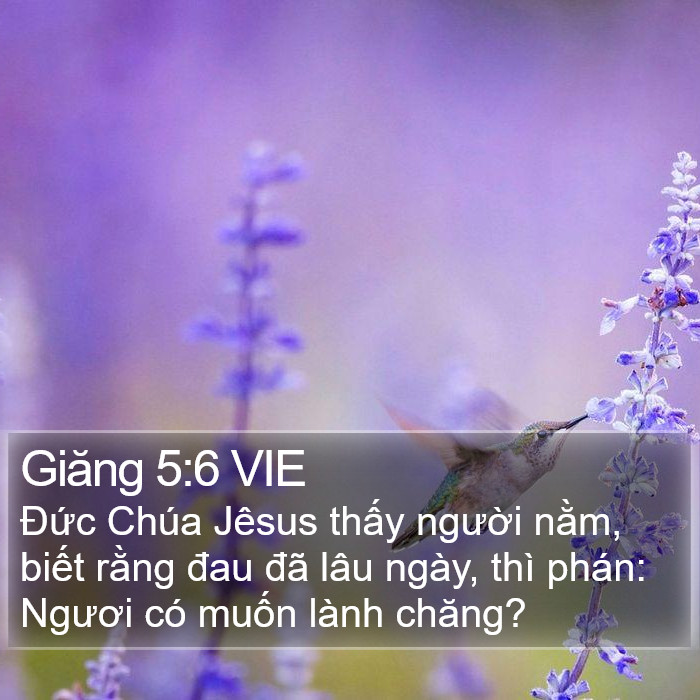 Giăng 5:6 VIE Bible Study