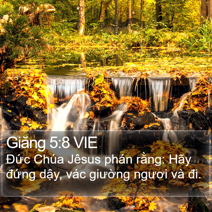 Giăng 5:8 VIE Bible Study