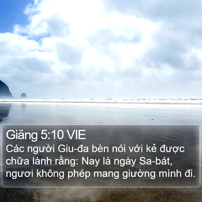 Giăng 5:10 VIE Bible Study