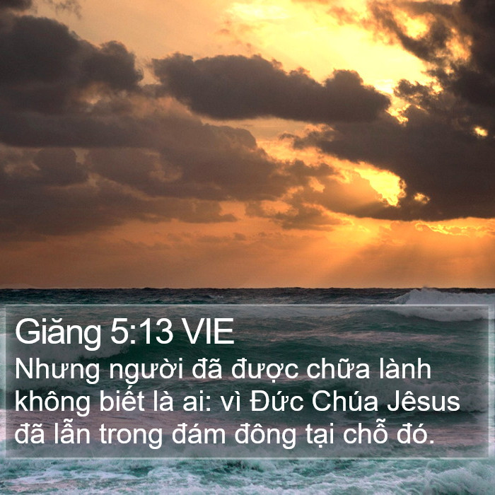 Giăng 5:13 VIE Bible Study