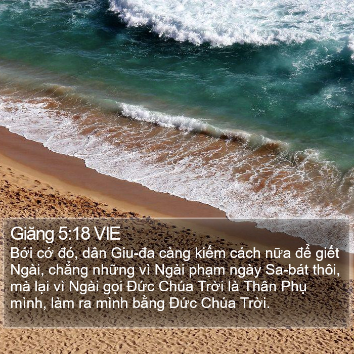 Giăng 5:18 VIE Bible Study