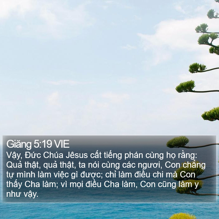 Giăng 5:19 VIE Bible Study