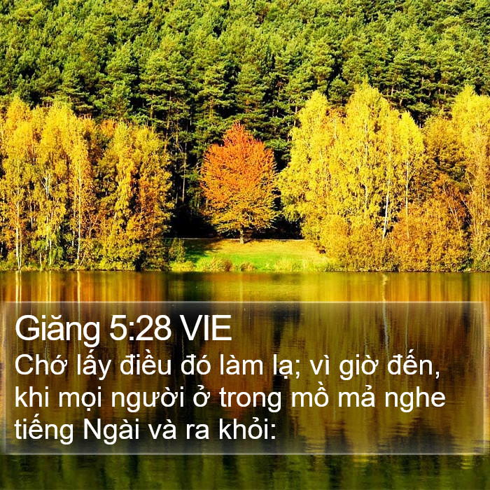 Giăng 5:28 VIE Bible Study