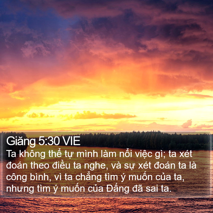 Giăng 5:30 VIE Bible Study