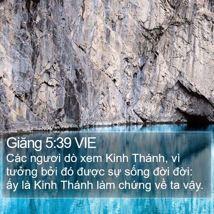 Giăng 5:39 VIE Bible Study