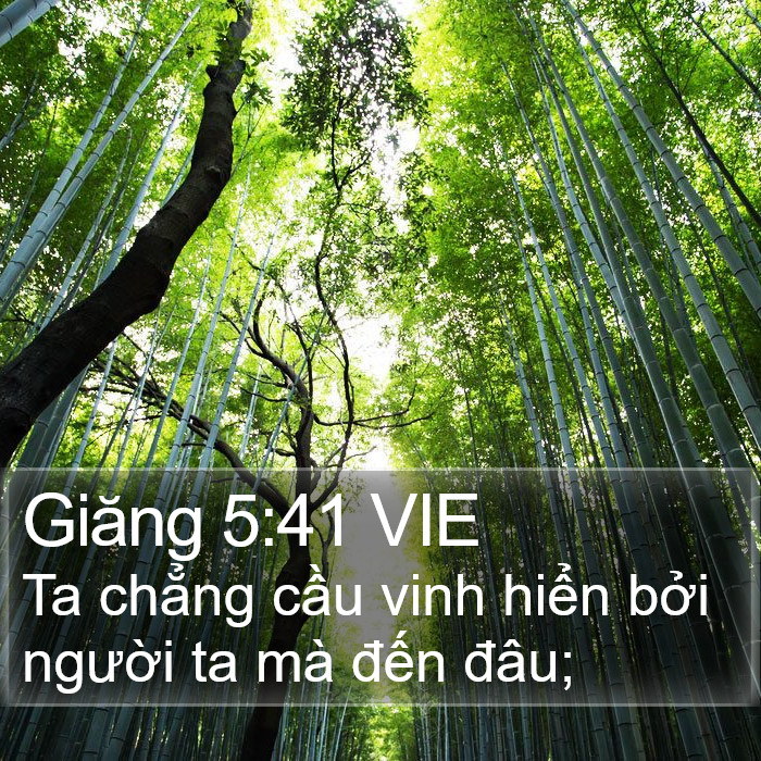 Giăng 5:41 VIE Bible Study