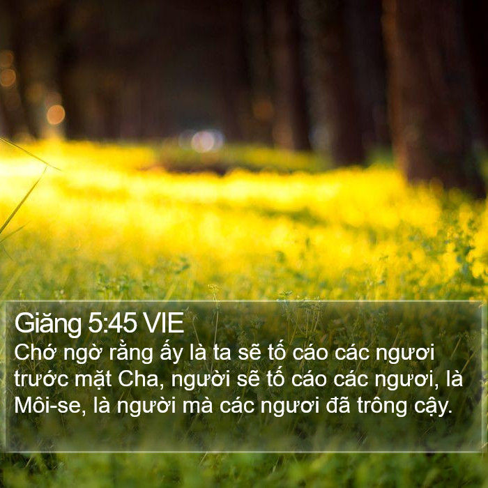 Giăng 5:45 VIE Bible Study