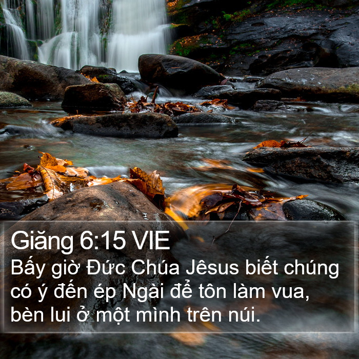 Giăng 6:15 VIE Bible Study