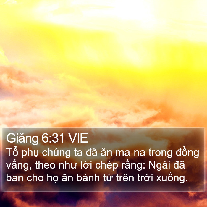 Giăng 6:31 VIE Bible Study