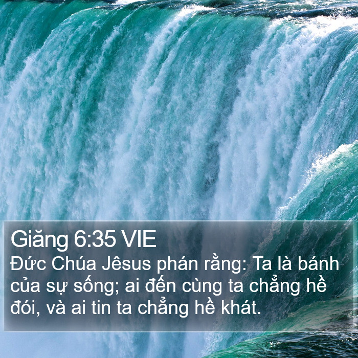 Giăng 6:35 VIE Bible Study