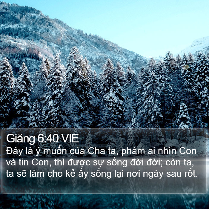 Giăng 6:40 VIE Bible Study