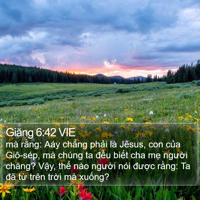 Giăng 6:42 VIE Bible Study