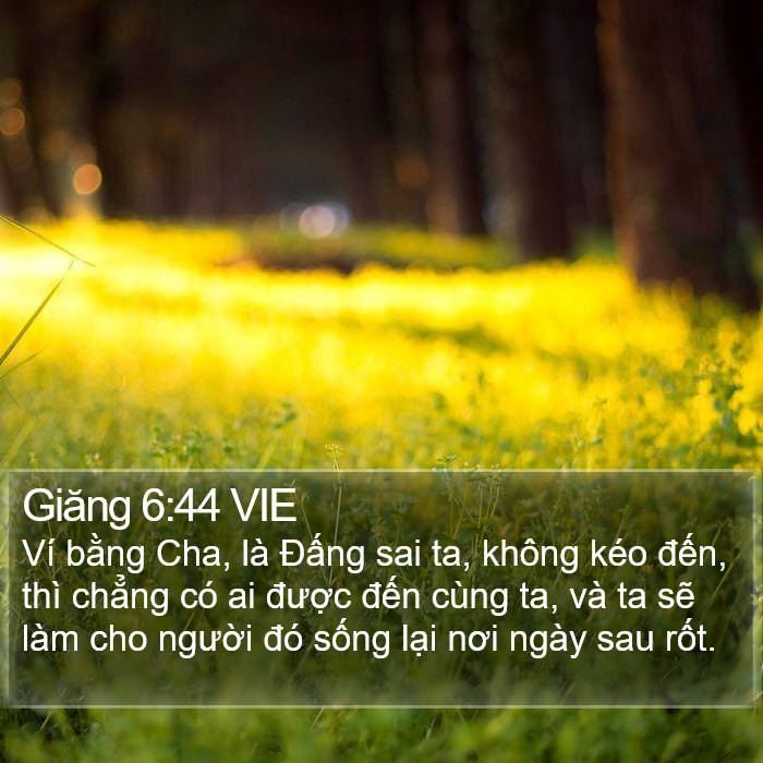 Giăng 6:44 VIE Bible Study