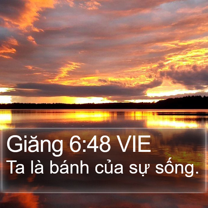 Giăng 6:48 VIE Bible Study