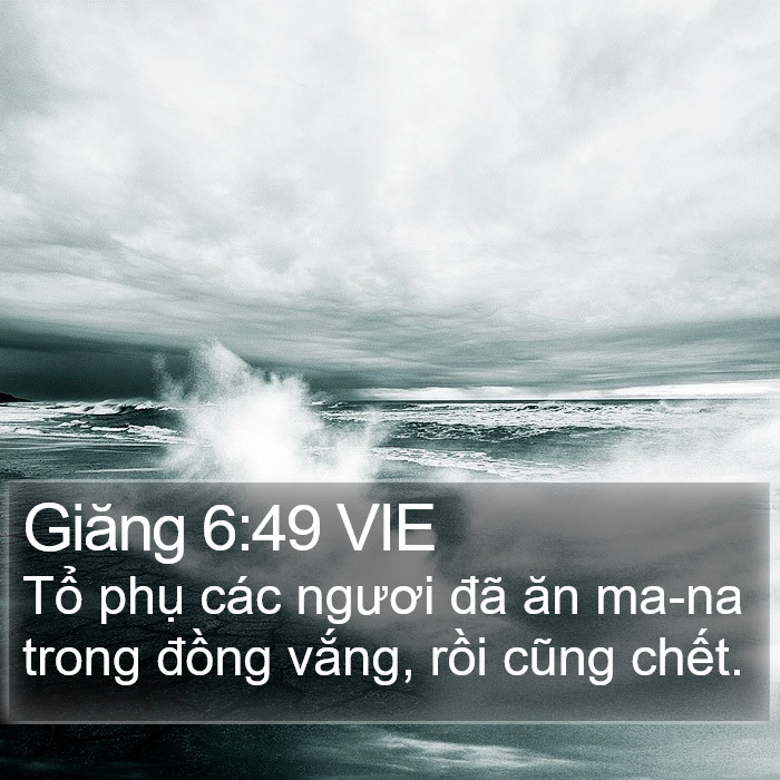 Giăng 6:49 VIE Bible Study