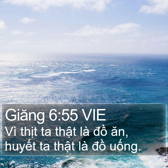 Giăng 6:55 VIE Bible Study