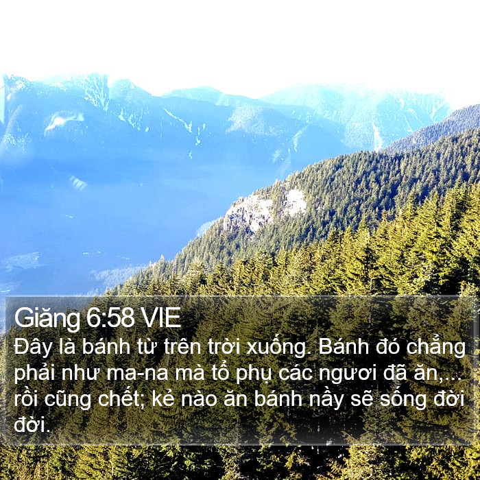 Giăng 6:58 VIE Bible Study