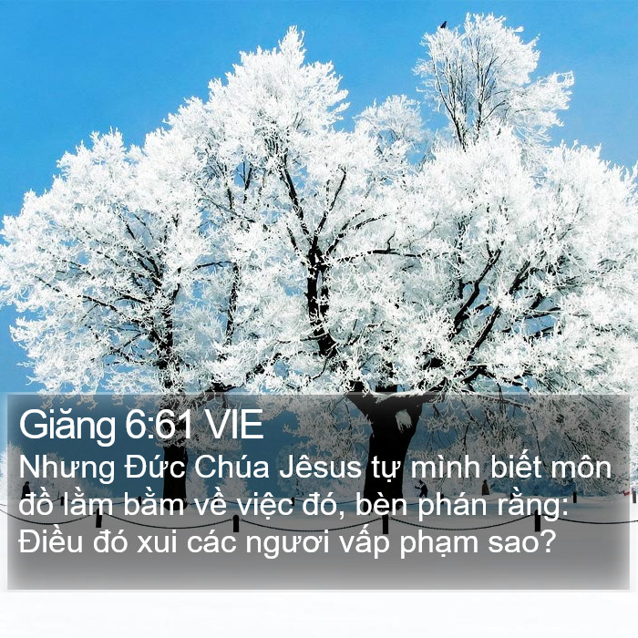 Giăng 6:61 VIE Bible Study