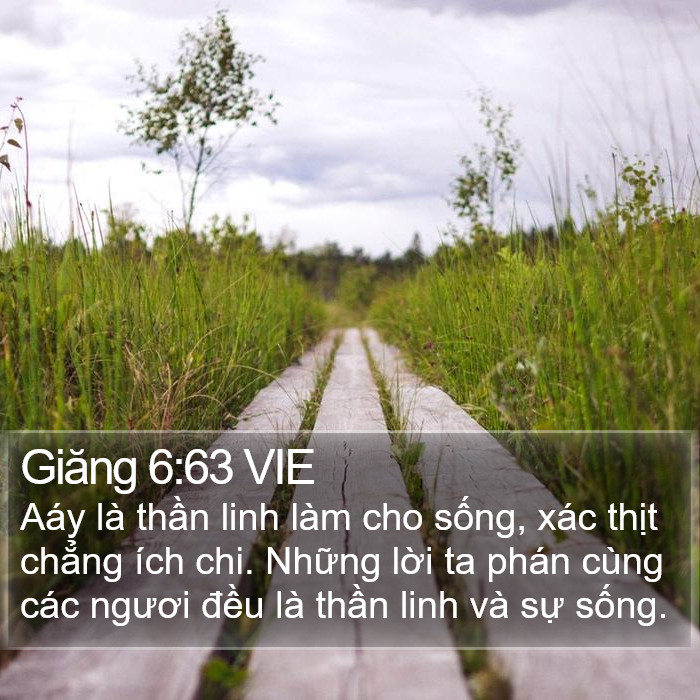 Giăng 6:63 VIE Bible Study