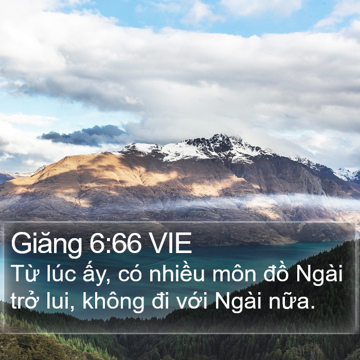 Giăng 6:66 VIE Bible Study