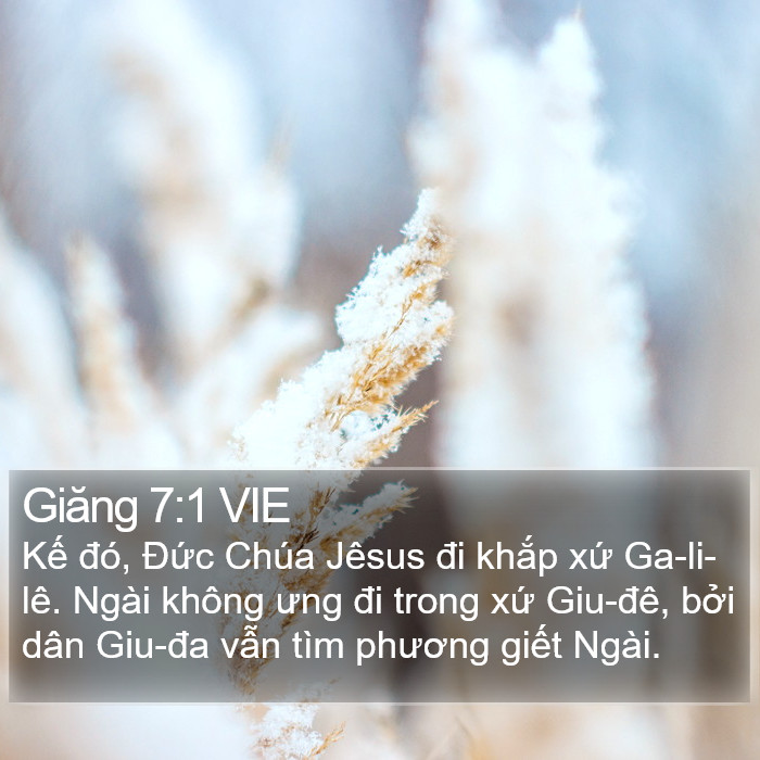 Giăng 7:1 VIE Bible Study
