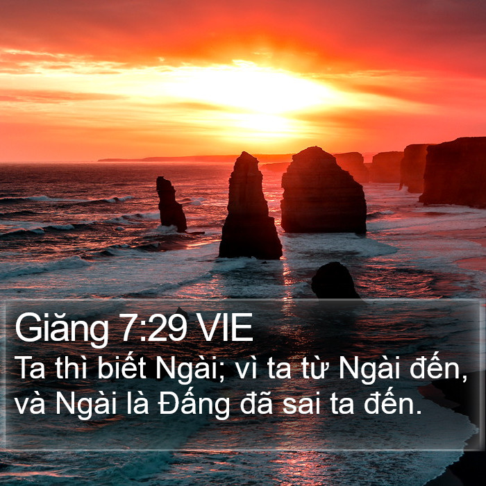 Giăng 7:29 VIE Bible Study