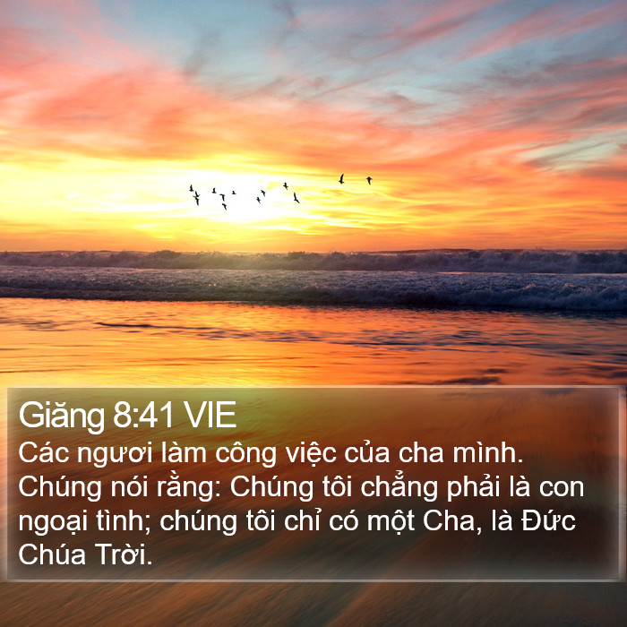 Giăng 8:41 VIE Bible Study