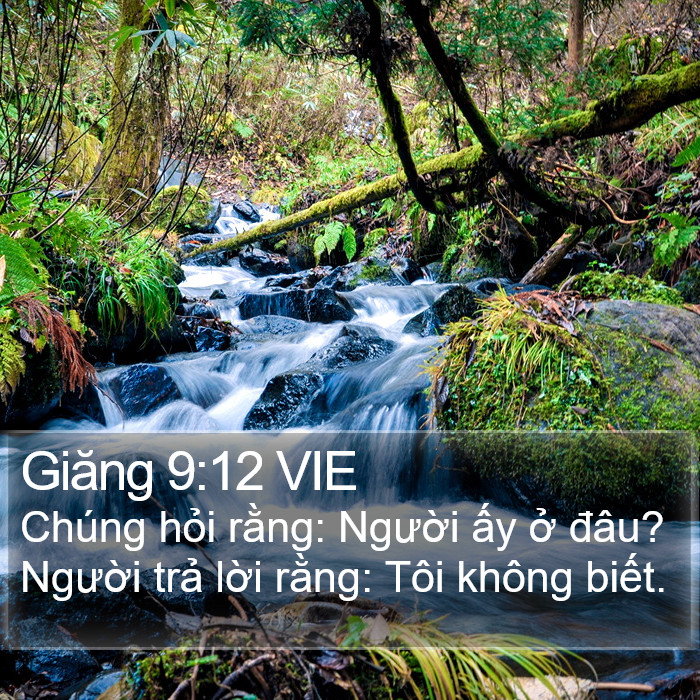 Giăng 9:12 VIE Bible Study