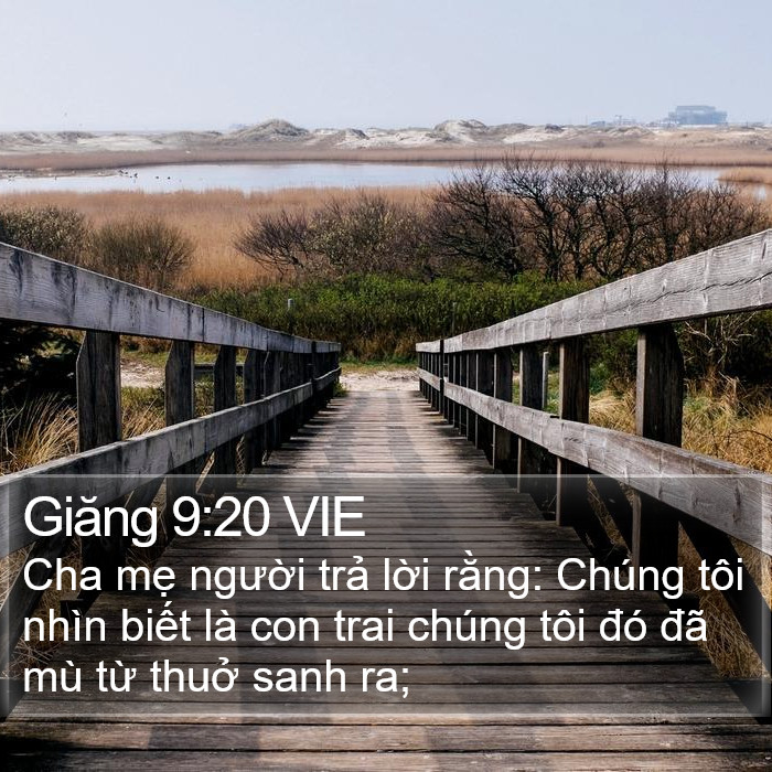 Giăng 9:20 VIE Bible Study