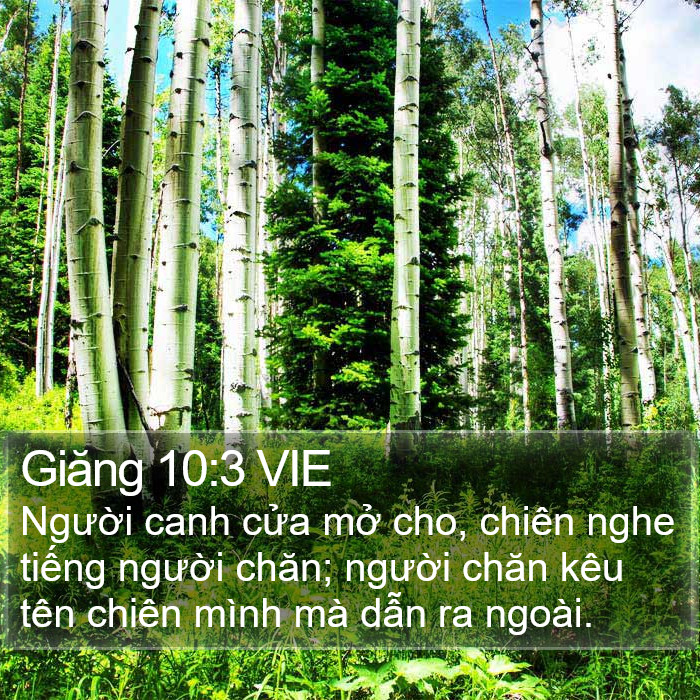 Giăng 10:3 VIE Bible Study