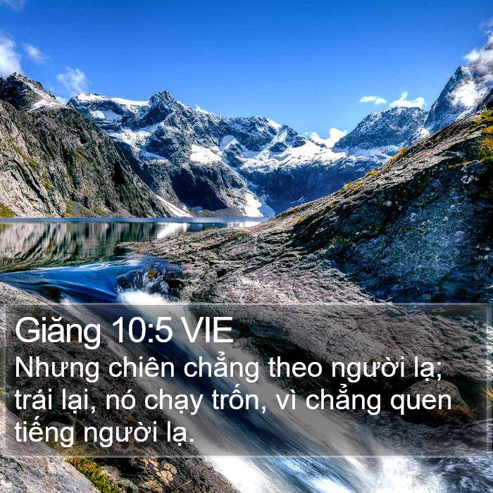 Giăng 10:5 VIE Bible Study