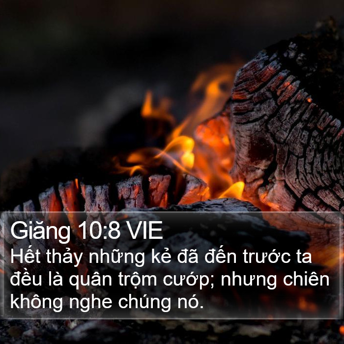 Giăng 10:8 VIE Bible Study