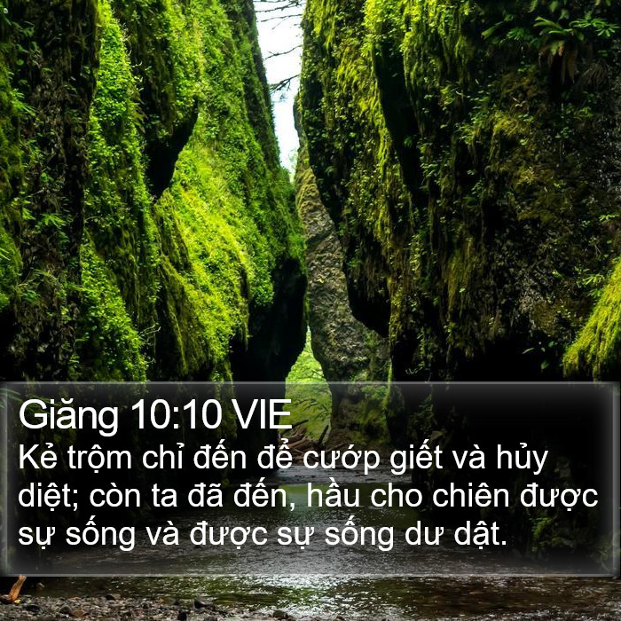 Giăng 10:10 VIE Bible Study