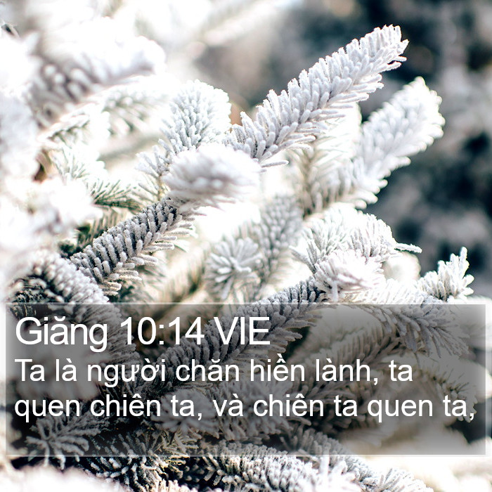 Giăng 10:14 VIE Bible Study