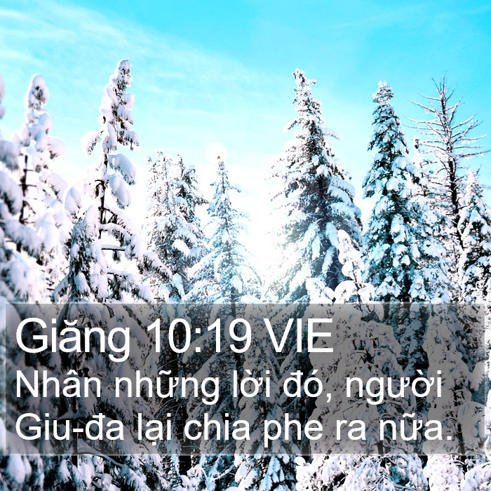 Giăng 10:19 VIE Bible Study