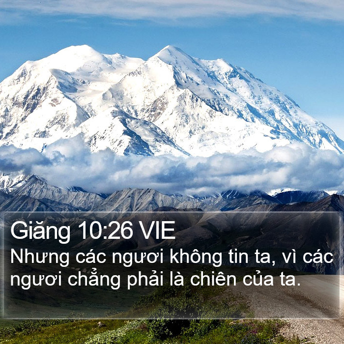 Giăng 10:26 VIE Bible Study