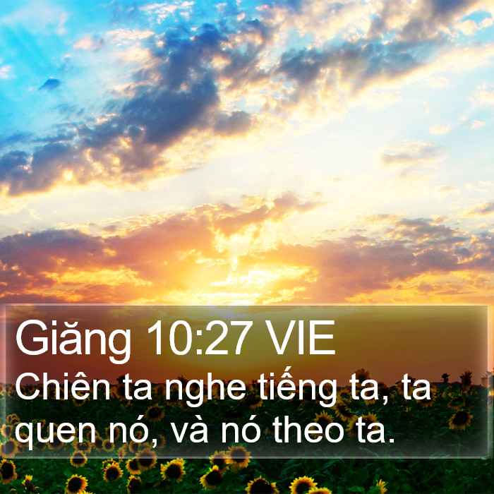 Giăng 10:27 VIE Bible Study