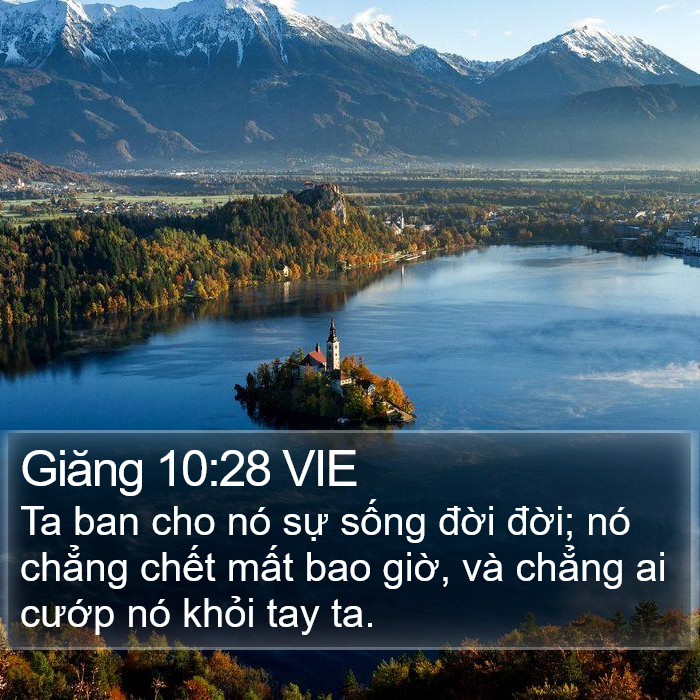 Giăng 10:28 VIE Bible Study