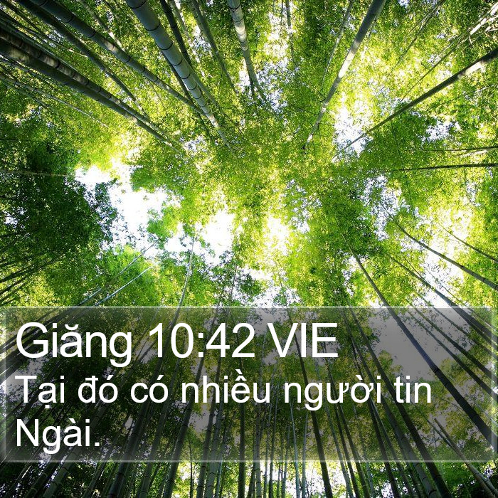 Giăng 10:42 VIE Bible Study