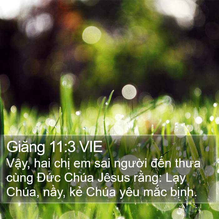 Giăng 11:3 VIE Bible Study