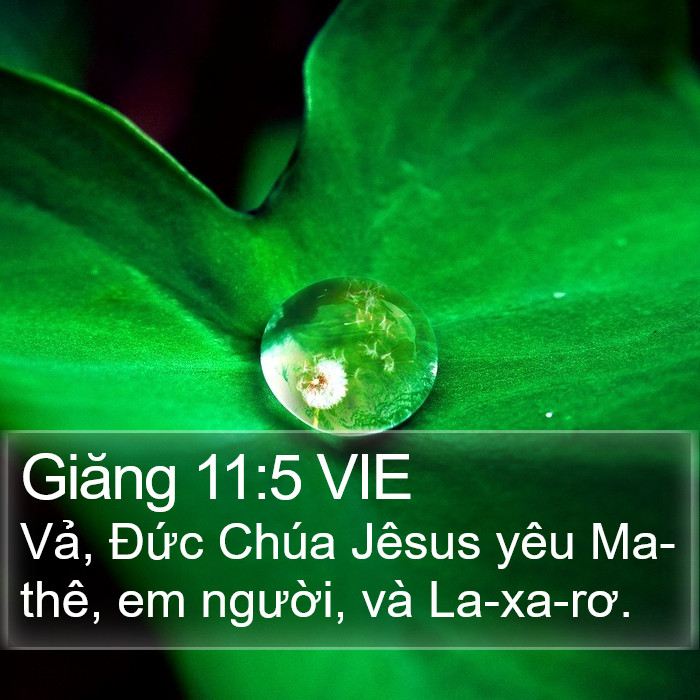 Giăng 11:5 VIE Bible Study