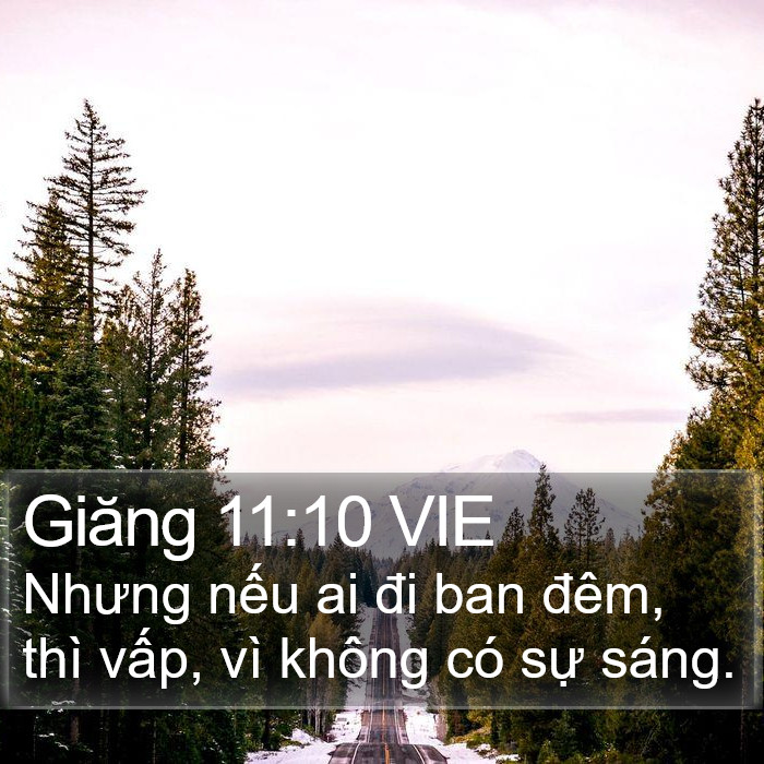 Giăng 11:10 VIE Bible Study