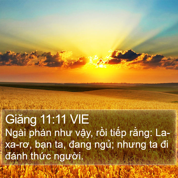 Giăng 11:11 VIE Bible Study