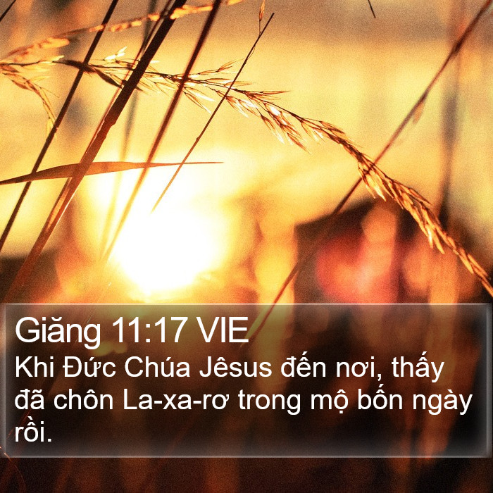 Giăng 11:17 VIE Bible Study