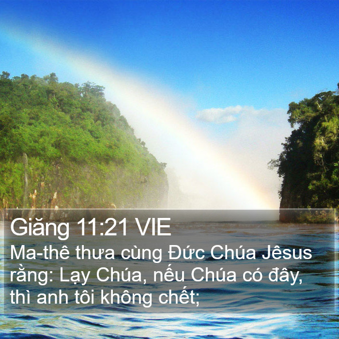 Giăng 11:21 VIE Bible Study