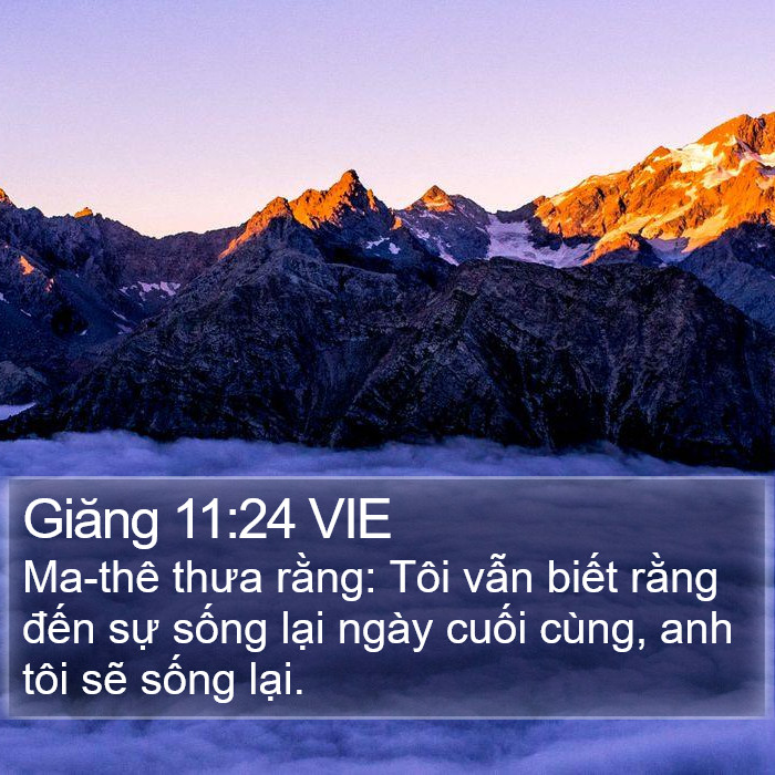 Giăng 11:24 VIE Bible Study