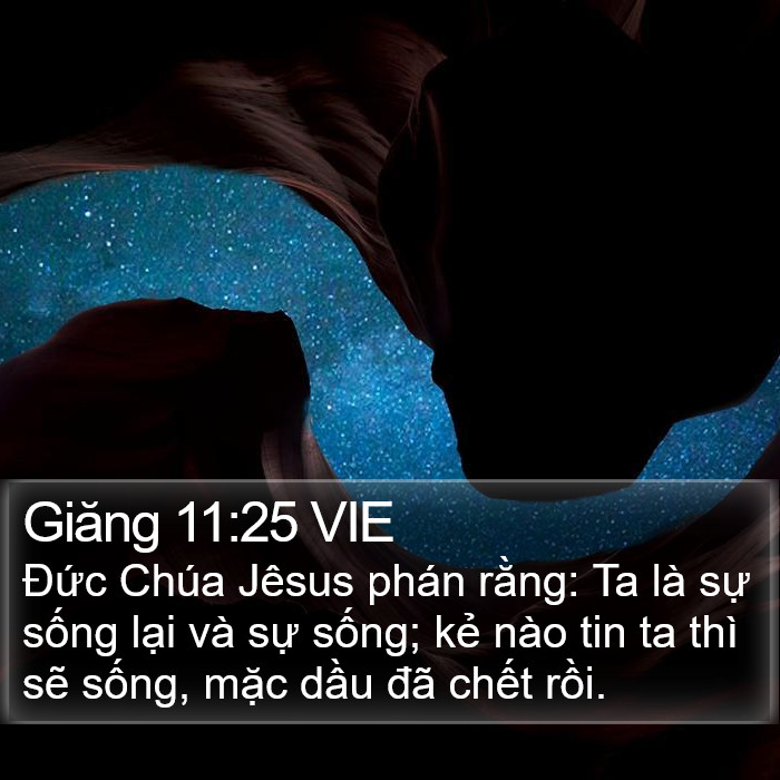 Giăng 11:25 VIE Bible Study