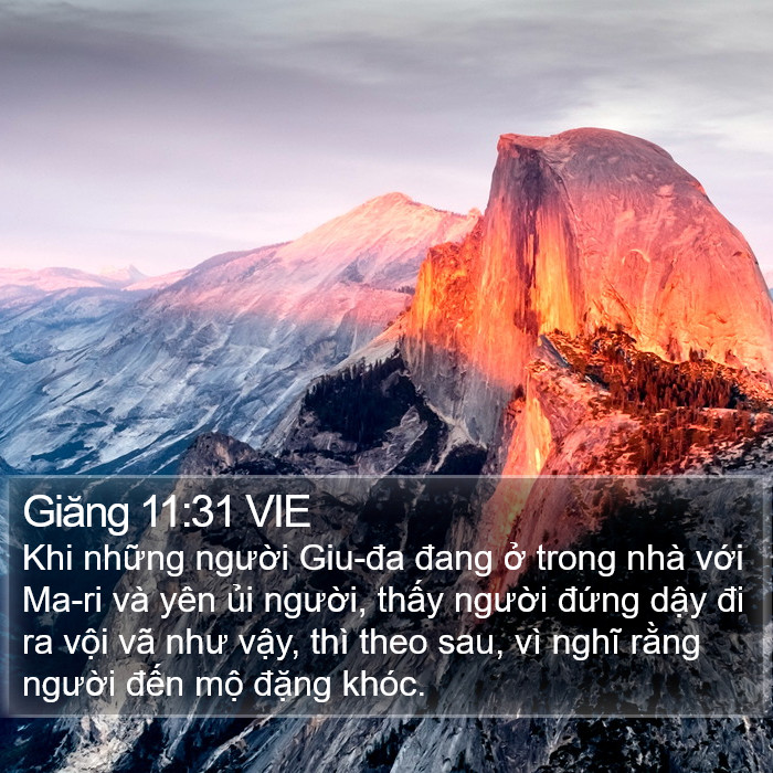 Giăng 11:31 VIE Bible Study