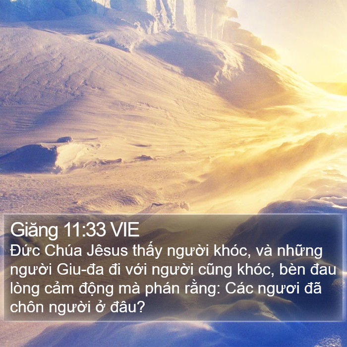 Giăng 11:33 VIE Bible Study