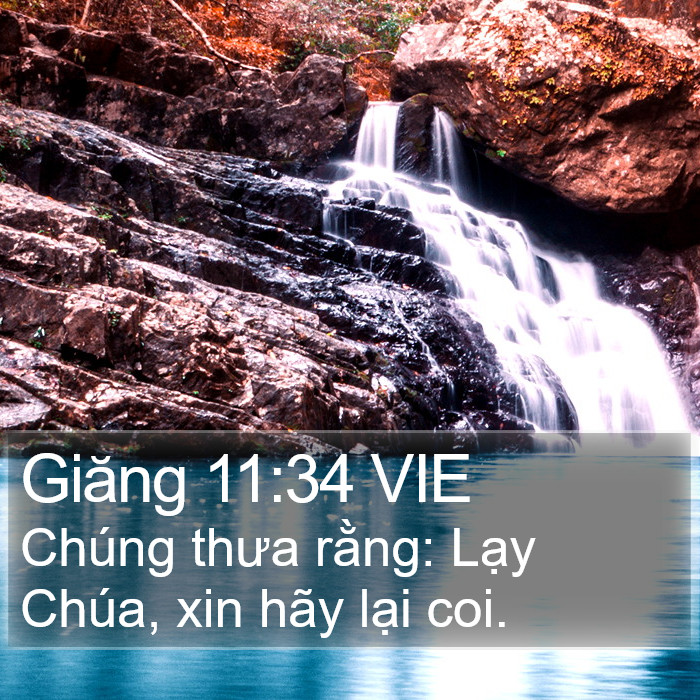 Giăng 11:34 VIE Bible Study